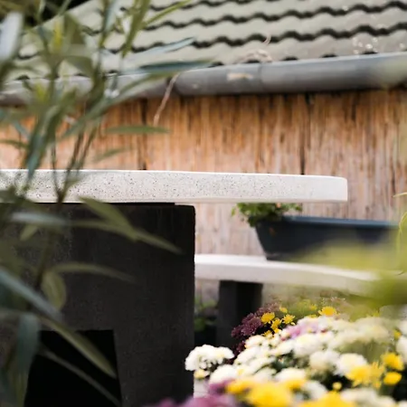 White House Miskolc, East Appartamento